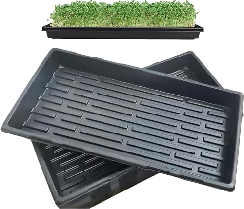 LANPEW Anzuchtschalen ohne Abflusslöcher 54x28cm Dicke1,8mm Perfekte Gartensamen-Anzuchtschalen für Setzlinge Gärtnern im Innenbereich,Mikrogrün Weizengras Hydrokultur (schwarzes 5-Pack) von LANPEW