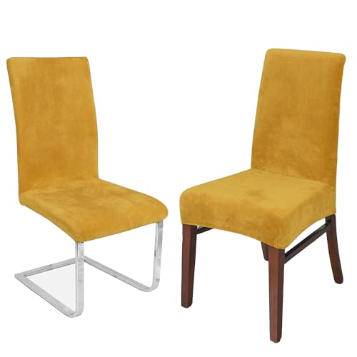 LANSHENG Stretchy Stuhlbezüge für Esszimmerstühle, Stretch Spandex mit Gummiband Stuhlbezug,Velvet Large Dining Chair Schonbezüge für Restaurant Hotel Party Bankett (Senf,4 Pack(M)) von LANSHENG