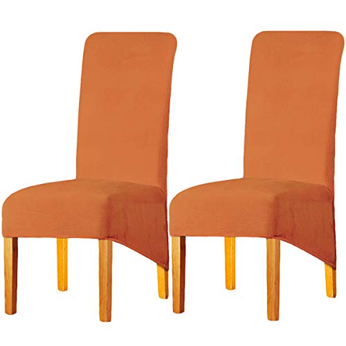 LANSHENG Stretchy XL Stuhlbezüge für Esszimmerstühle, Stretch Spandex mit Gummiband Stuhlbezug,Velvet Large Dining Chair Schonbezüge für Restaurant Hotel Party Bankett (Orange,2er Set (Groß)) von LANSHENG