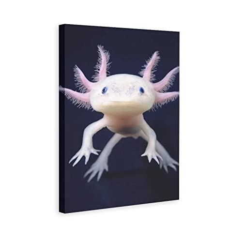 Axolotl Reptilien, Marines Benthos, dekoratives Gemälde, Leinwand, Wandkunst, Wohnzimmer, Poster, Schlafzimmer, Malrahmen, 40 x 60 cm von LAOAYI