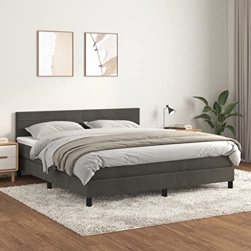 LAPOOH Federbett mit Matratze dunkelgrau 160 x 200 cm Samt Bettgestell Federbett Bettgestell Schlafzimmer - 3141372 von LAPOOH