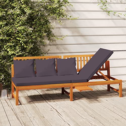 LAPOOH Tagesbett mit Grauen Kissen 200x60x75 cm Massivholz Akazie, Schlafsofa, Daybed, Bettsofa, Sofa Bed, Sofabett, Schlafcouch, Jugendbett, Bettgestell, Bettcouch - 312145 von LAPOOH