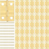 Kleine Scharniere, Mini-Scharnier mit 200 Schrauben, Miniatur-Scharnier für DIY-Box-Modell, Spielzeug, Kunstwerke, Kunsthandwerk, 24 x 16 mm, golden, von LARGEIGHT