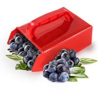 [NIE BENUTZT]Blaubeerpflücker mit Stiel Pflücker und Rechen mit Kamm Ergonomischer Griff zur Obst- und Blaubeerernte für Hahnenkamm, Klee, von LARGEIGHT