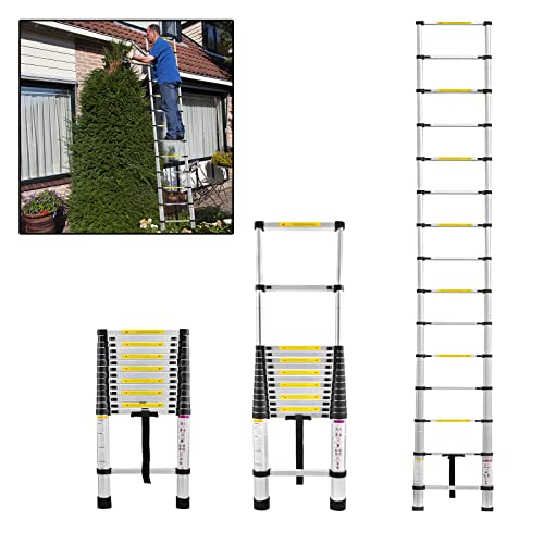 LARS360 4.4M Teleskopleiter Multifunktionsleiter Schwarz Ausziehleiter Anlegeleiter Mehrzweckleiter Ausziehbare Leiter 15 Stufe Stehleiter aus Hochwertigem Aluminium Belastbarkeit 150KG LARS360 4.4M Teleskopleiter Multifunktionsleiter Schwarz Ausziehleiter Anlegeleiter Mehrzweckleiter Ausziehbare Leiter 15 Stufe Stehleiter aus Hochwertigem Aluminium Belastbarkeit 150KG von LARS360