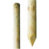 Lasa - Runde Stange für Kiefernholzzäune, die in Punta imprägniert sind - Ø8 - 200 cm. von LASA