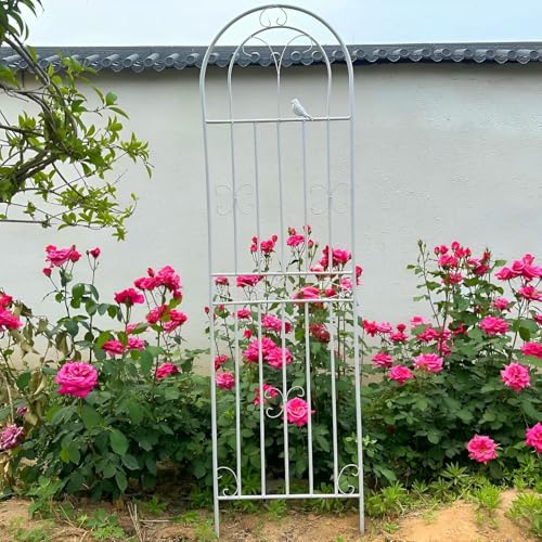 Garten Gitter Für Kletterpflanzen 90cm 115cm 160cm 180cm 200cm 220cm. Rostfeste Metall Garten Blumen Gitter, Gurken Unterstützung, Pflanzen Unterstützung Netz (weiß, 50x180cm) von LASDERTV