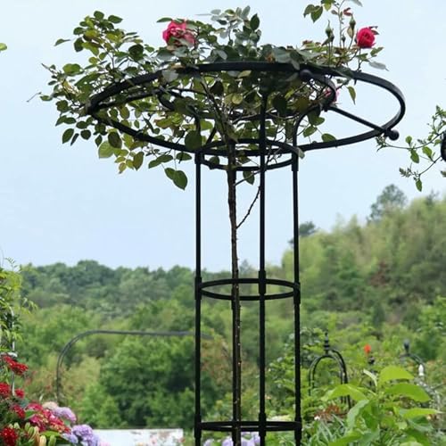 Garten Gitter Für Kletterpflanzen - Rostdichte Vertikale Wisteria Gitter, Outdoor Blumen Unterstützung Käfig, Kletterständer Rack Für Reben & Rosen, Langlebiges Weißes Design (180CM / 5.9FT) von LASDERTV