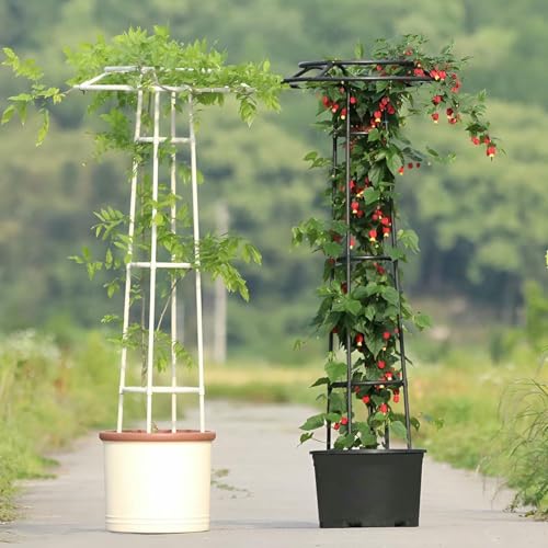 Kletterpflanze Unterstützung Schirm Garten Trellis Rebe Unterstützt Pflanzenturm Für Blumen Stände Erhöhte Betten Gurke Tomaten Gemüse Früchte Und Blumen (weiß, 145cm / 4.8ft) von LASDERTV