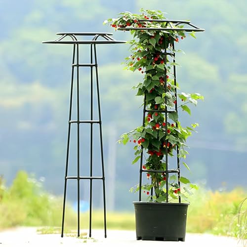 Kletterpflanze Unterstützung Schirm Garten Trellis Rebe Unterstützt Pflanzenturm Für Blumen Stände Erhöhte Betten Gurke Tomaten Gemüse Früchte Und Blumen (weiß, 145cm / 4.8ft) von LASDERTV