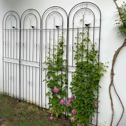 Kletterpflanzen Unterstützen Gitter 120 cm 150 cm 180 cm 200 cm Metall Dekorativen Gartenzaun Im Freien Im Freien Bildschirm Von Zucchini Gemüse Tomatenblumen (weiß, 50x120 cm) von LASDERTV