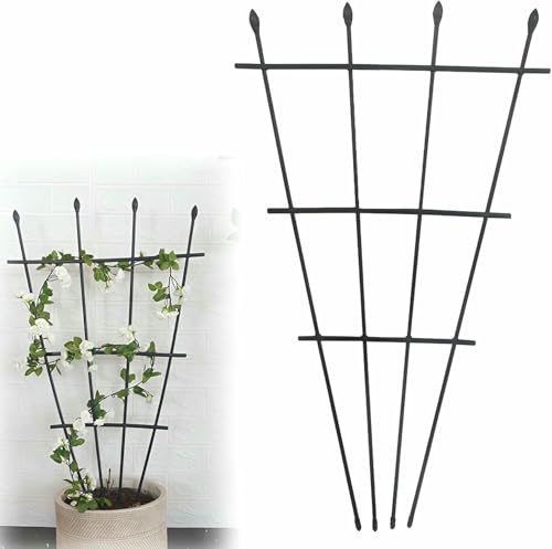 Pflanzenstützen Für Garten, 90cm 120cm Hohes Metall-Fan-Gitter Für Kletterpflanzen In Töpfen Indoor, Outdoor Dekorative Pflanzenstütze Rostdicht Und Einfach Zu Montieren (120cm / 7.2in) von LASDERTV