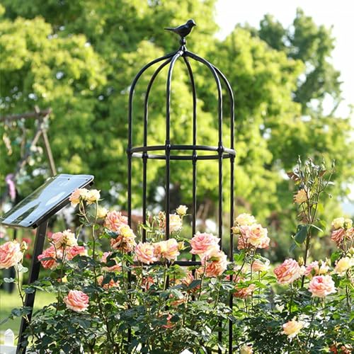 Robuste Metall Garten Trellis Obelisk Für Kletterpflanzen - 7,5 Fuß Pflanzenstützturm Für Rosen & Reben - Erhältlich In 180cm 230cm 280cm 330cm (schwarz) von LASDERTV