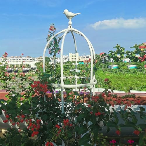 Robuste Metall Garten Trellis Obelisk Für Kletterpflanzen - 7,5 Fuß Pflanzenstützturm Für Rosen & Reben - Erhältlich In 180cm 230cm 280cm 330cm (schwarz) von LASDERTV