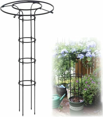 Rostfeste Garten Gitter Für Kletterpflanzen, Vertikale Wisteria Unterstützung Käfig, Blumenständer Für Reben Und Rosen, Langlebige Outdoor Gitter, Schwarz (120CM / 3.9FT) von LASDERTV