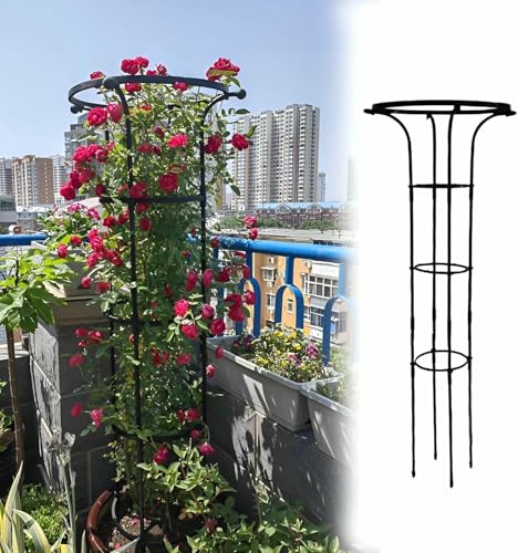 Schirm Trellis Garten Rostdichte Trellis Für Metall Rebe Pflanze Unterstützung Vertikale Schirm Trellis Tower Pflanze Unterstützung Käfige (schwarz, 110cm / 3.6ft) von LASDERTV