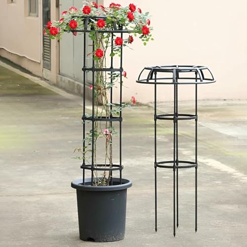 Verstellbarer Garten Gitter Für Kletterpflanzen Im Freien, Pilz Top Gitter, Schirme Pflanze Unterstützung Obelisk Für Topfpflanzen Kletterrebe Rose Clematis Gemüse I (50 X 135 cm) von LASDERTV