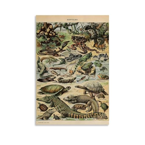 LASOQUAN Adolphe Millot Reptilien-Poster, dekoratives Gemälde, Leinwand, Wandposter und Kunstdruck, modernes Familienschlafzimmer, Dekoration, Poster, 30 x 45 cm LASOQUAN Adolphe Millot Reptilien-Poster, dekoratives Gemälde, Leinwand, Wandposter und Kunstdruck, modernes Familienschlafzimmer, Dekoration, Poster, 30 x 45 cm von LASOQUAN