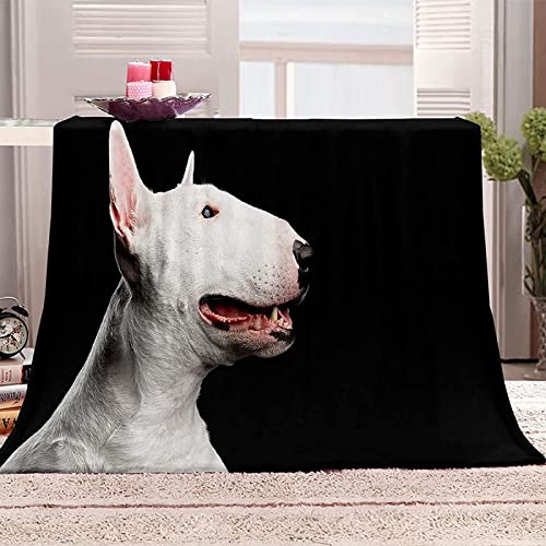 LATIZI Kuscheldecke 130x150 Bullterrier Süßer Hund Flanell Fleecedecke 3D Print Weich Flauschige Decke für Bett Sofa Sofadecke Wohnzimmerdecke Deko Camping Wohndecken von LATIZI