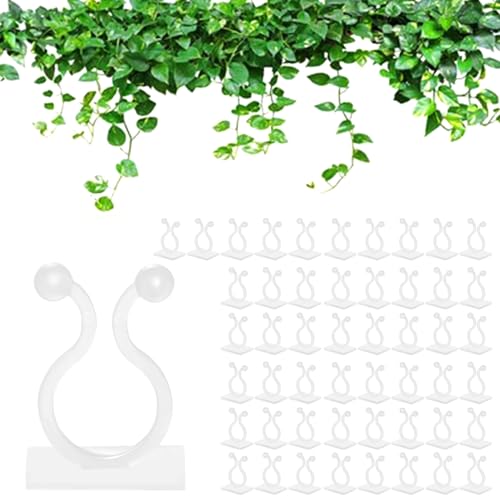 LATTCURE 50 Stück Pflanzenclips Unsichtbare Kletterpflanzen Clips Kletterpflanzen Clips Wandbefestigung für Pflanzen Selbstklebende Befestigungsklammern für Pflanzen Sicherung Pflanzenhaken(weiß) von LATTCURE