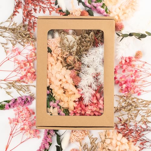 LAUMOE Getrocknete Blumen, Trockenblumen, Trockenblumen Zum Basteln Mini Trockenblumen Bunt Trockenblume Set für Tischdeko DIY Epoxidharz Scrapbook Zubehör (H6) von LAUMOE