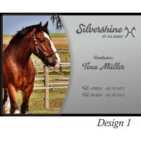 Boxenschilder Fürs Pferd, Personalisierbar von LAUSITZART