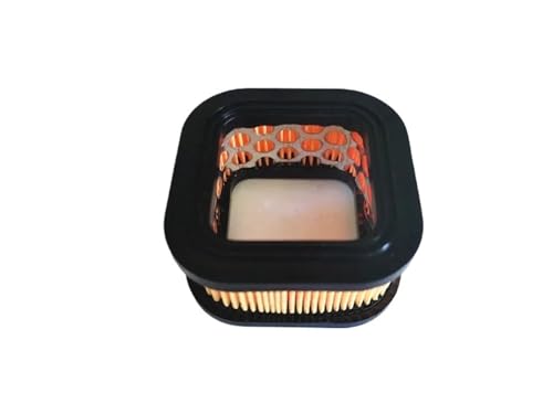 LAVAS 2 x Luftfilter passend for ECHO ZM LD ZOMAX CS-4000 4003 4010 4020 4100 Bauker ZM4002 Kettensäge Papier Hauptfilterreiniger LAVAS 2 x Luftfilter passend for ECHO ZM LD ZOMAX CS-4000 4003 4010 4020 4100 Bauker ZM4002 Kettensäge Papier Hauptfilterreiniger von LAVAS