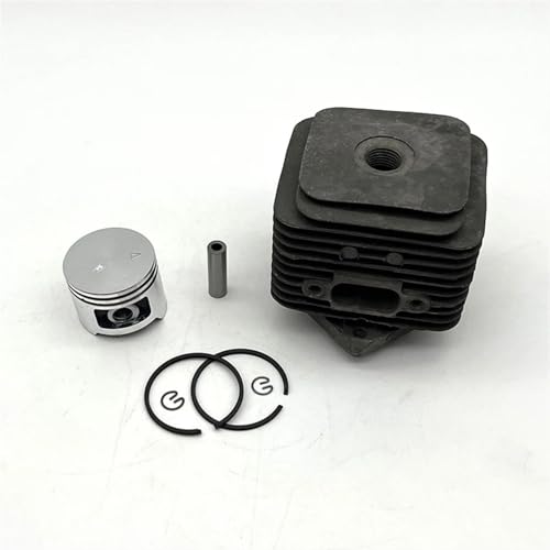 LAVAS 36,5 MM Zylinderkolbenbausatz Passend for Homelite S30 Gartengeräte Rasentrimmer Freischneider Ersatzteile LAVAS 36,5 MM Zylinderkolbenbausatz Passend for Homelite S30 Gartengeräte Rasentrimmer Freischneider Ersatzteile von LAVAS