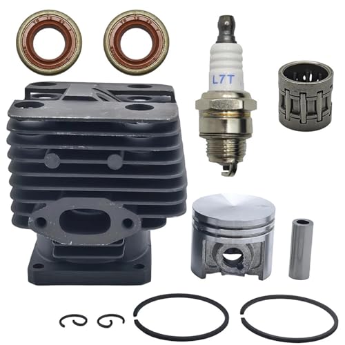 LAVAS 40mm Zylinderkolben Kurbelwellendichtringsatz for Stihl FT250 HT250 FS250 FS250R FS202 FS120 FS200 Freischneider Trimmer 4134 020 1214 von LAVAS