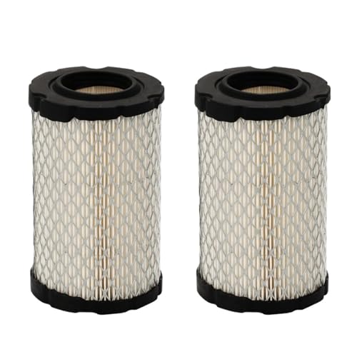 LAVAS Luftfilter for Briggs & Stratton 796031 594201 797404 591334 5428 Und for John Deere Gy21435 Rasenmäher Garten Werkzeuge(2PCS) von LAVAS