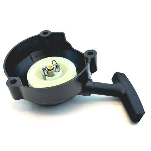 LAVAS Reversierstarter for ST. BR450 SR430 SR450 SR450-Z Laubbläser Teile Pull Start Rückspulfeder Seil Griff Griff Ersatz LAVAS Reversierstarter for ST. BR450 SR430 SR450 SR450-Z Laubbläser Teile Pull Start Rückspulfeder Seil Griff Griff Ersatz von LAVAS