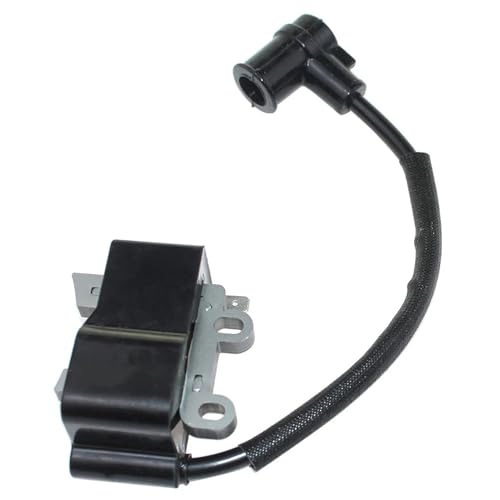 LAVAS Zündspule for Echo PB-255LN PB-251 ES255 PB265L PB265LN Blatt Gebläse Vacumm Magneto Teile # A411000290 A425000100 von LAVAS