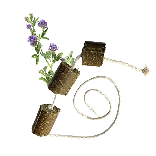 LAX Wiesenprodukte Spielseile für Pferde 2 kg (2 Stück) – Getreidefreies Beschäftigungsfutter mit Luzerne – Natürliche & rohfaserreiche Pferdesnacks LAX Wiesenprodukte Spielseile für Pferde 2 kg (2 Stück) – Getreidefreies Beschäftigungsfutter mit Luzerne – Natürliche & rohfaserreiche Pferdesnacks von LAX