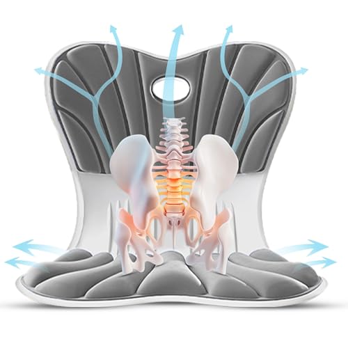 LAXARA Orthopädische Lordosenstütze – Schutzkissen aus Memory Foam Schaum Sitz & Rücken-Kissen für Haltungskorrektur, Rückenschmerzen & Beckenstabilisierung, Büro, Gaming-Stühle & Zuhause | Grau, M LAXARA Orthopädische Lordosenstütze – Schutzkissen aus Memory Foam Schaum Sitz & Rücken-Kissen für Haltungskorrektur, Rückenschmerzen & Beckenstabilisierung, Büro, Gaming-Stühle & Zuhause | Grau, M von LAXARA