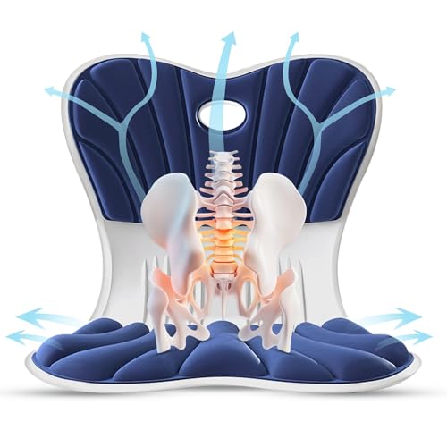 LAXARA Orthopädische Lordosenstütze – Schutzkissen aus Memory Foam Schaum Sitz & Rücken-Kissen für Haltungskorrektur, Rückenschmerzen & Beckenstabilisierung, Büro, Gaming-Stühle & Zuhause | Blau, S LAXARA Orthopädische Lordosenstütze – Schutzkissen aus Memory Foam Schaum Sitz & Rücken-Kissen für Haltungskorrektur, Rückenschmerzen & Beckenstabilisierung, Büro, Gaming-Stühle & Zuhause | Blau, S von LAXARA