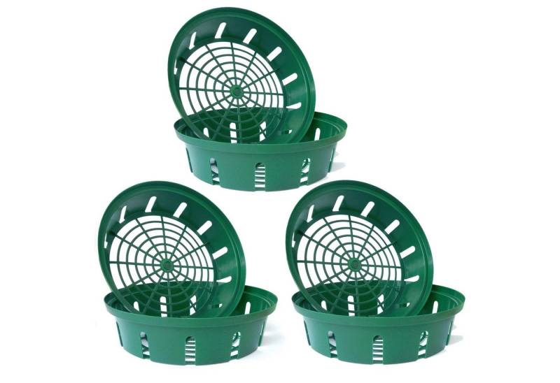 LB H&F Lilienburg Pflanzschale 6 Stück Pflanzkorb Pflanzschale Blumenzwiebeln Zwiebelschale (Zwiebelkorb Tulpen Korb Wühlmauskorb Pflanzkorb Wühlmausschutz Blumenzwiebelschalen Einpflanzen Aufbewahren Aufbewahrung Zwiebelpflanzen Nagerschutz Mäuseschutz Wurzelschutz Schutz Korb Wühlmaus Maulwurf Mäuse Pflanzen Wurzeln, Blumenzwiebel-Schale Anzuchtskorb für Gemüsepflanzen), Pflanzkörbe für Blumenzwiebeln Zwiebel-Pflanzkorb von LB H&F Lilienburg