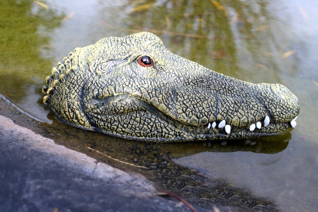 LB H&F Lilienburg Teichfigur LB H&F Teichfigur Krokodil Kopf Schwimmtier Alligator, (Tierfigur Gartenteich Miniteich grün Teichdeko Krokodilkopf Pool Teich Gartendeko Teichtier), schwimmt, detailgetreu gearbeitet, Dekofigur 24x12cm von LB H&F Lilienburg