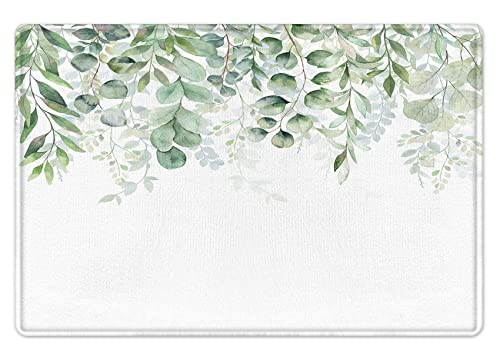 LB Eukalyptus Baum Badematte Grün Blatt Fußabtreter 60x40cm Aquarell Pflanze Weiß rutschfest Weich Saugfähig Waschbar Bodenmatte zum Tür Bad Schlafzimmer Innen Dekoration von LB