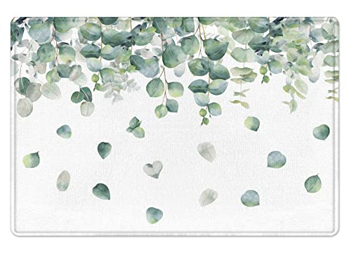 LB Grünes Eukalyptus Blatt Badematte Aquarell Pflanzen Fußabtreter 60x40cm Weiß rutschfest Weich Saugfähig Waschbar Bodenmatte zum Tür Bad Schlafzimmer Innen Dekoration von LB