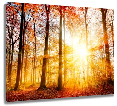 LB Wandbilder Herbstwald Poster Sonnenschein durch Orangenbäume Wanddruck Naturszenerie bei Sonnenuntergang Leinwand Bilder für Wohnzimmer Schlafzimmer Badezimmer Wand Deko,50x40cm Ungerahmt von LB