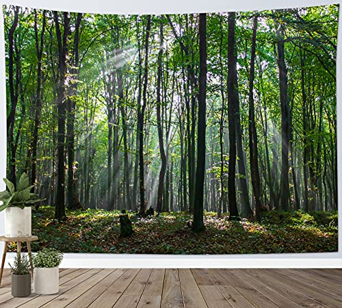 LB Wandteppich Grüner Wald Wandtuch Sonnenschein durch Bäume Wandbehang Naturlandschaft Tapisserie für Wohnzimmer Schlafzimmer Wohnheim Wanddeko,235x180cm von LB