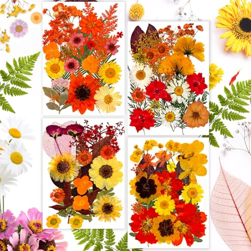 Gepresste Blumen, 92 Stück Natürliche Getrocknete Blumen, DIY Getrocknete Blüten zum Basteln, Gemischte Getrocknete Blätter Gänseblümchen für DIY Kerzen Harz Schmuck Nagel Kunst Blumen Dekoration Gepresste Blumen, 92 Stück Natürliche Getrocknete Blumen, DIY Getrocknete Blüten zum Basteln, Gemischte Getrocknete Blätter Gänseblümchen für DIY Kerzen Harz Schmuck Nagel Kunst Blumen Dekoration von LBINYLING