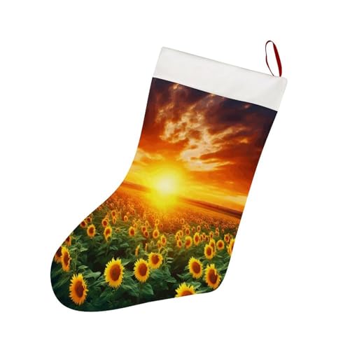 Personalisierter Weihnachtsstrumpf zum Aufhängen, Sonnenblumenfeld bei Sonnenuntergang, Weihnachtsstrümpfe, Partygeschenke, Strümpfe für Weihnachten, Familie, Urlaubsdekoration von LBKHDS