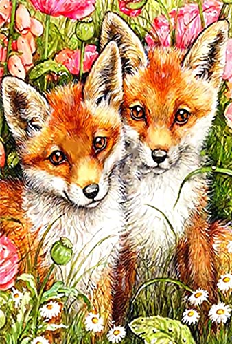 Kreuzstich FüR Erwachsene AnfäNger Kit, Fuchs, Stickvorlagen Stickbilder Vorgedruckt Kreuzstich Stickpackung Zum Sticken Starter Set Geschenkdekoration 40 * 50cm von LBWYYJILFIIXPNF