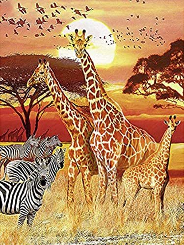 Kreuzstich FüR Erwachsene AnfäNger Kit, Giraffe, Stickvorlagen Stickbilder Vorgedruckt Kreuzstich Stickpackung Zum Sticken Starter Set Geschenkdekoration 40 * 50cm von LBWYYJILFIIXPNF