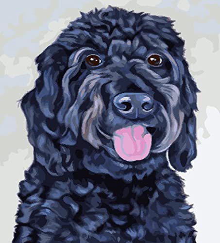 Kreuzstich FüR Erwachsene AnfäNger Kit, Schwarzer Hund, Stickvorlagen Stickbilder Vorgedruckt Kreuzstich Stickpackung Zum Sticken Starter Set Geschenkdekoration 40 * 50cm von LBWYYJILFIIXPNF