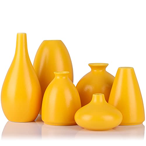 Gelbe kleine Vasen für Blumen, 6 gelbe kleine Vasen für Tafelaufsätze, gelbe Heimdekoration, Mini-Knospenvasen, gelbe Küchendekoration, Mini-Vasen, für Wohnzimmer, Bücherregal, Eingangsdekoration von LCCCK
