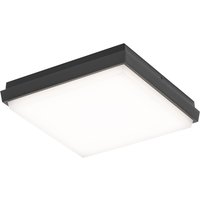 LCD Außenleuchten 5060/5061/5062 LED Wand- / Deckenleuchte 24 x 24 cm, graphit LCD Außenleuchten 5060/5061/5062 LED Wand- / Deckenleuchte 24 x 24 cm, graphit von LCD Außenleuchten