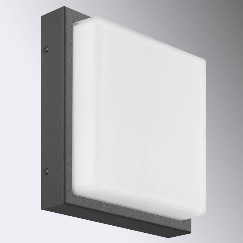 Außenwandlampe Ernest, graphit, 25 x 25 cm, E27, Edelstahl von LCD