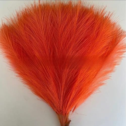 LCHENJIDG 10 Simulation farbiges Reed Gras, weich Fluffy künstliche Paprika Länge 15,75 Zoll für Wohnzimmer Party Hochzeit, Home Center Dekoration LCHENJIDG 10 Simulation farbiges Reed Gras, weich Fluffy künstliche Paprika Länge 15,75 Zoll für Wohnzimmer Party Hochzeit, Home Center Dekoration von LCHENJIDG